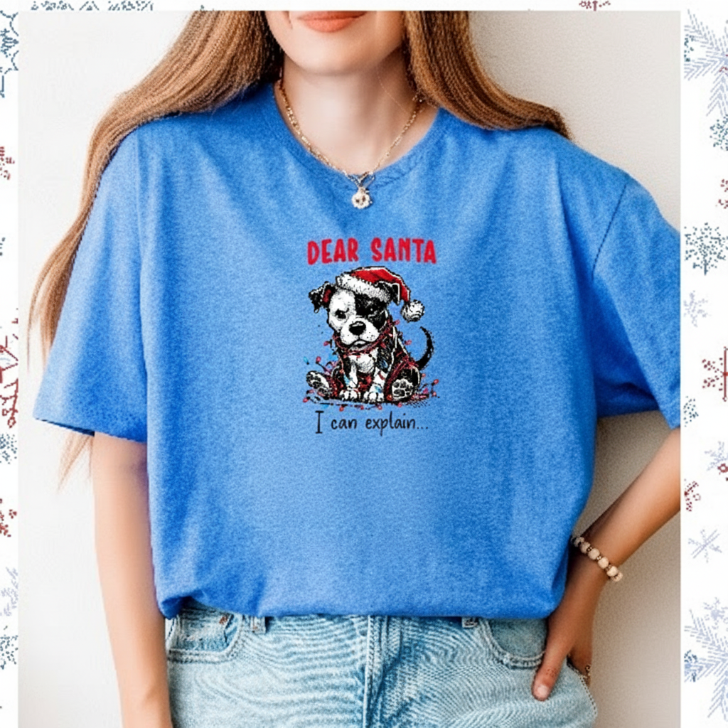 Dear Santa I can explain tee