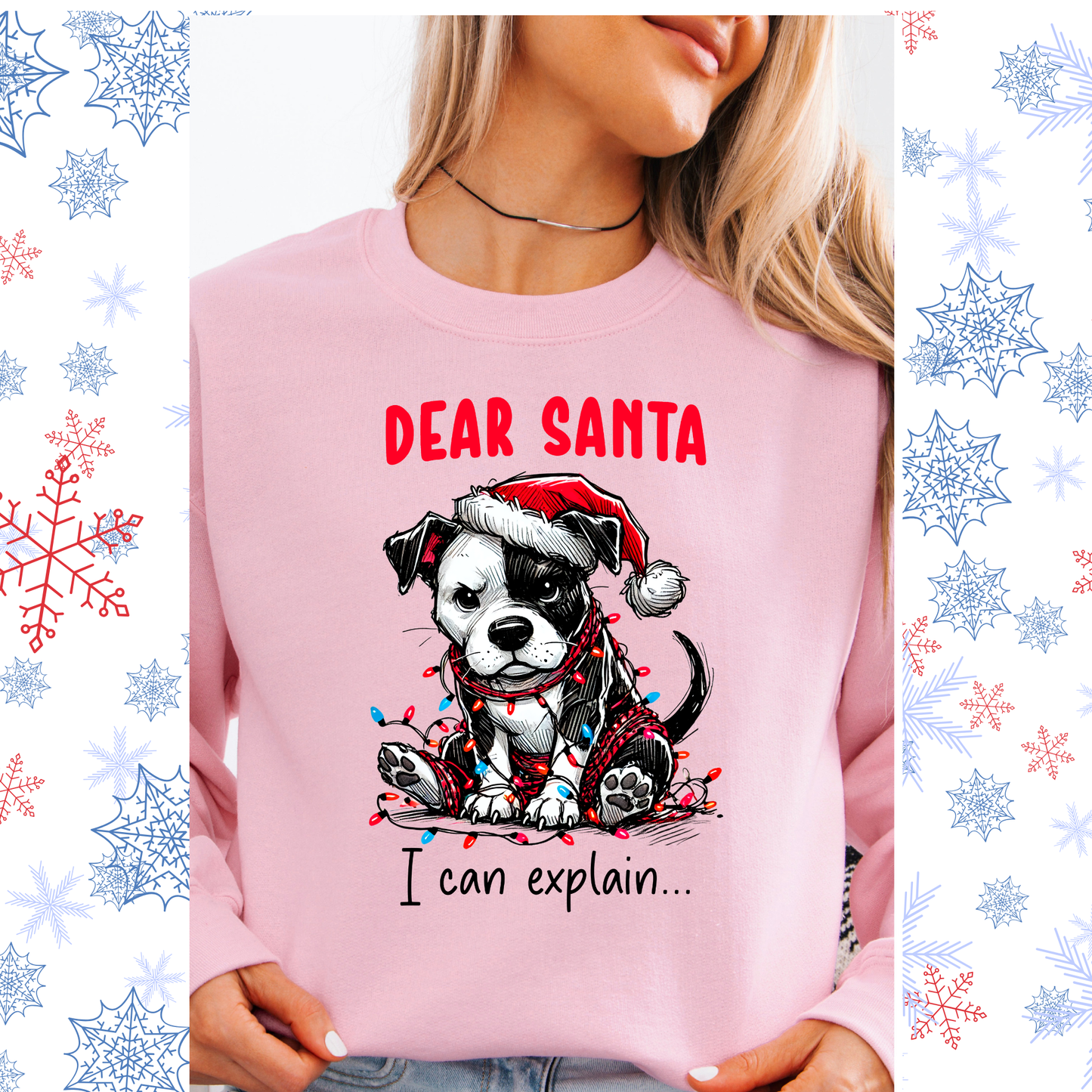 Dear Santa I can explain