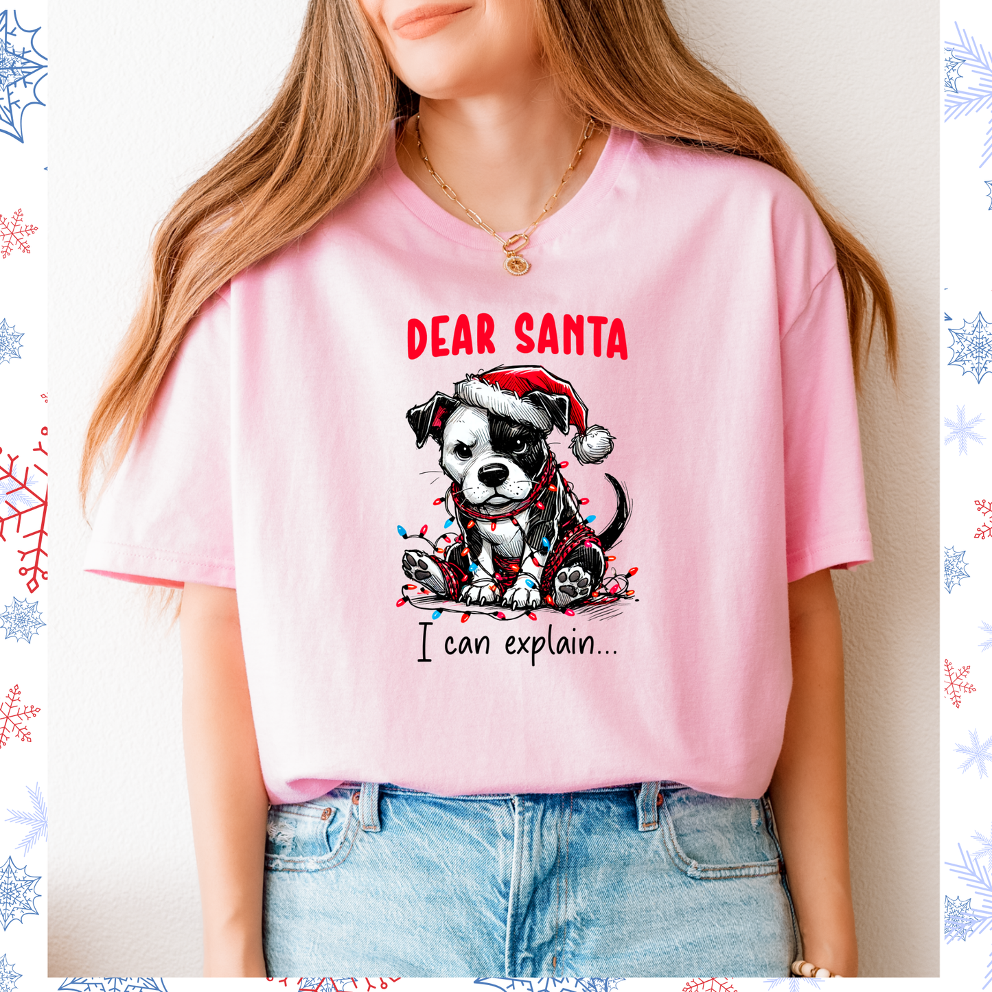 Dear Santa I can explain tee