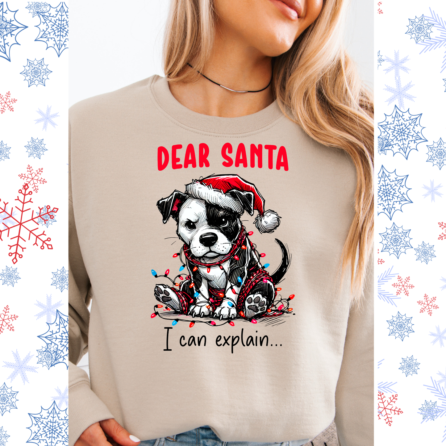Dear Santa I can explain