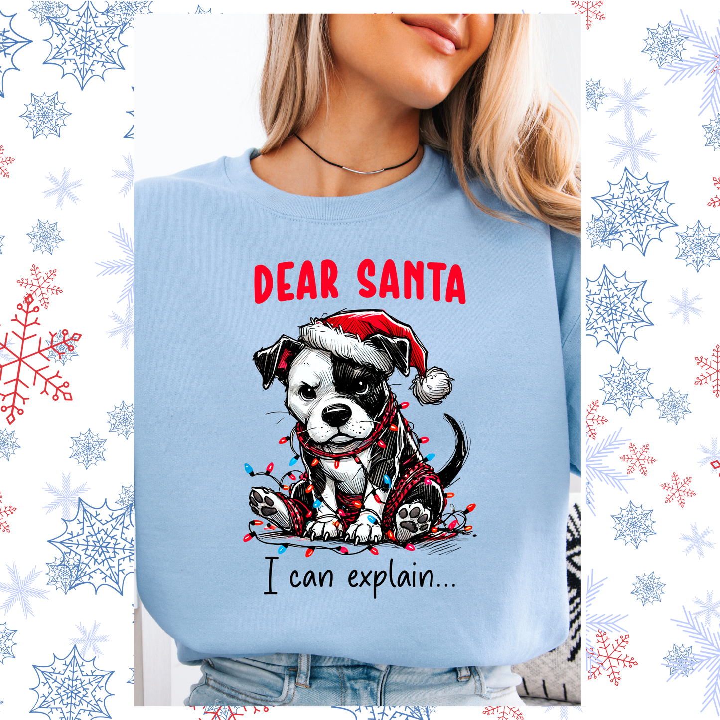 Dear Santa I can explain