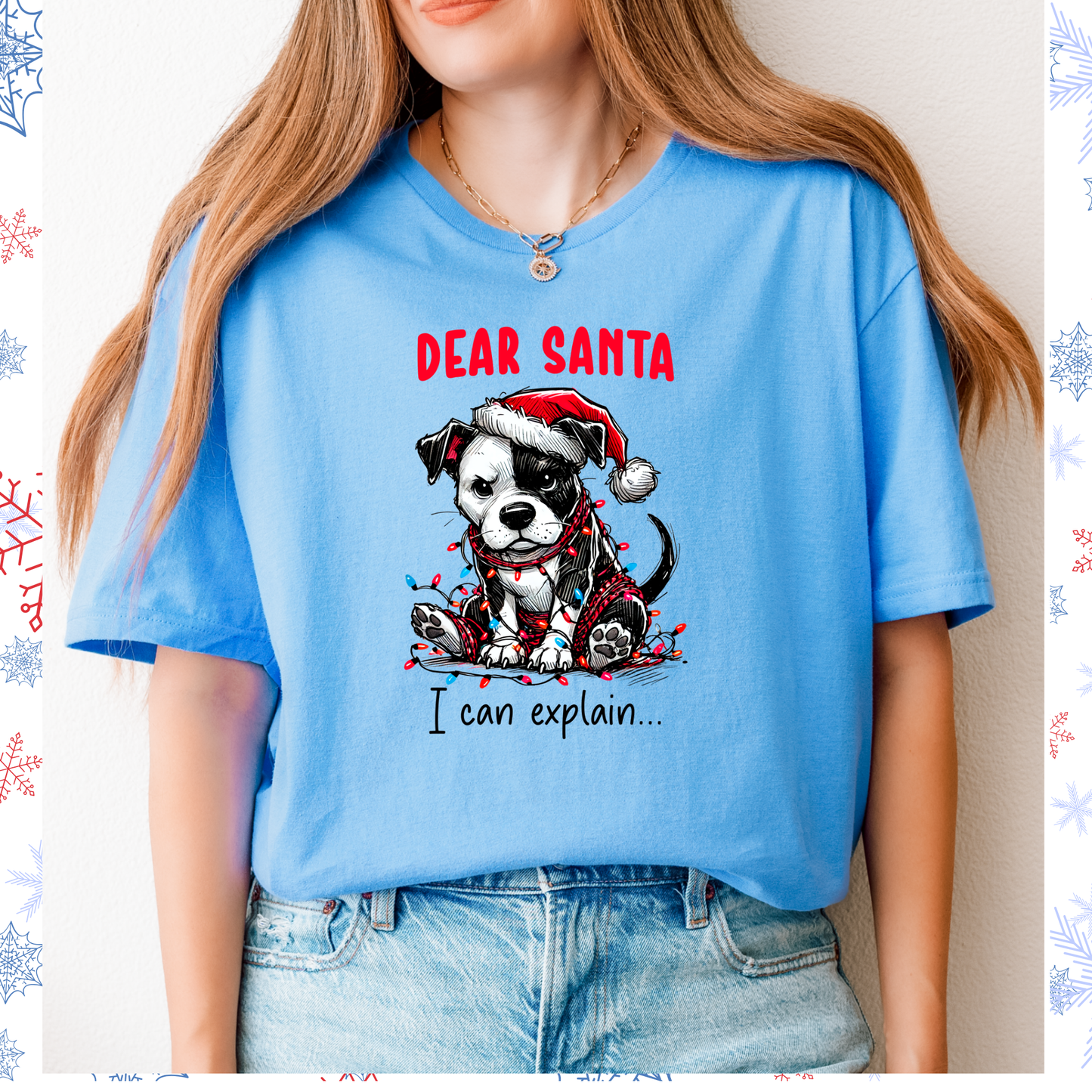 Dear Santa I can explain tee