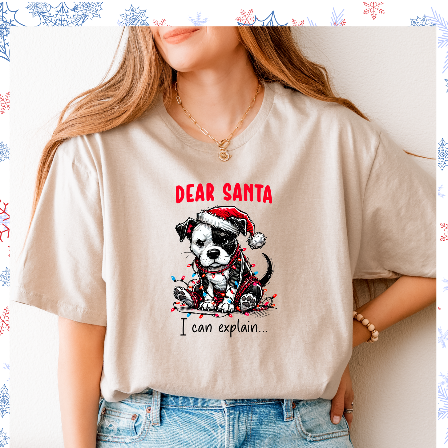Dear Santa I can explain tee