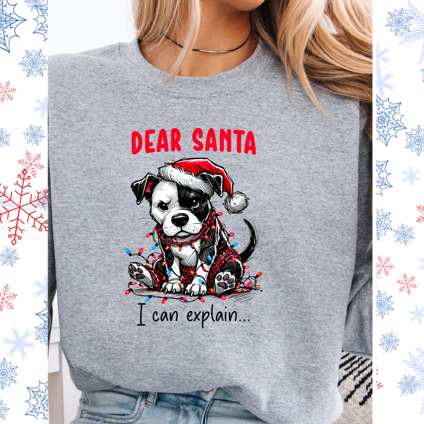 Dear Santa I can explain